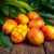 Mango – odkryj zdrowotne właściwości i zastosowanie w diecie